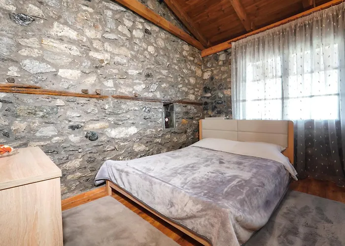 Vilă Loutra Mountain Nature Aridaía